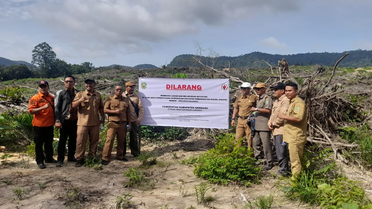 PT CUT di Sanggau Terancam Sanksi Berlapis, Tanam Sawit di Kawasan Peta PIPPIB