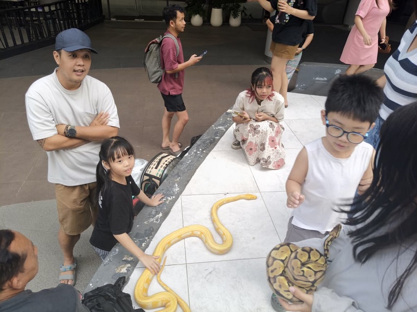 Satwa Eksotik Curi Perhatian Pengunjung, Independent Exotic Pets Ramaikan Mal Gaia